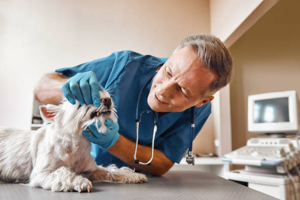 Best Emergency Dentist for Special Needs Patients in Dallas, GA